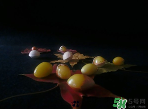 白果可以放微波爐嗎？白果放微波爐轉(zhuǎn)幾分鐘？