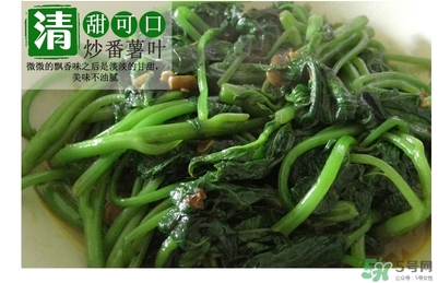 紅薯葉哺乳期可以吃嗎？紅薯葉產(chǎn)婦可以吃嗎？