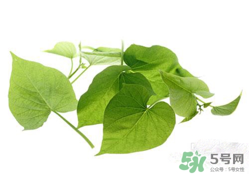 紅薯葉吃多了好嗎？紅薯葉吃多了會(huì)怎樣？