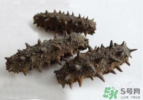 海參肚子里的筋能吃嗎？海參肚子里的筋吃了有什么作用？