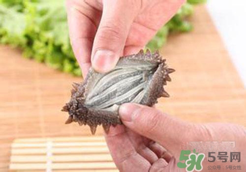 海參肚子里的筋能吃嗎？海參肚子里的筋吃了有什么作用？