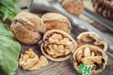 核桃能天天吃嗎？孕婦核桃一天吃幾個(gè)最好？