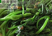 紅薯葉不能和什么一起吃？紅薯葉什么不能吃？