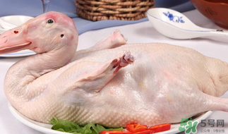 鴨肉可以放冰箱嗎？鴨肉放冰箱能保鮮多久？