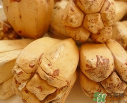 露兜果怎么吃？露兜果的功效作用