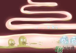 益生菌可以長期吃嗎？益生菌什么時候吃比較好？