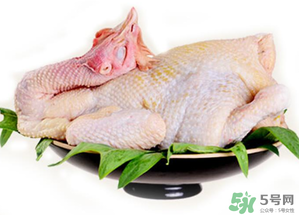 冷凍肉可以放多久？速凍肉可以放多久？