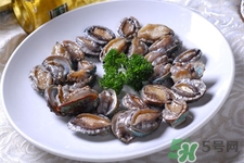 鮑魚能冷凍嗎？鮑魚可以放冰箱冷藏嗎？