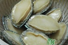 鮑魚死后可以放幾天？鮑魚死后多久不能吃？