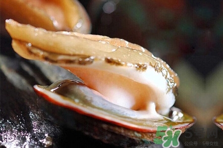 新鮮鮑魚可以放多久？活鮑魚怎樣存放時(shí)間更長？