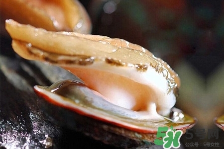 鮑魚一次最多吃幾個？鮑魚吃多了有什么不好的？