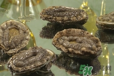 吃鮑魚要注意些什么？吃鮑魚會(huì)過(guò)敏嗎？
