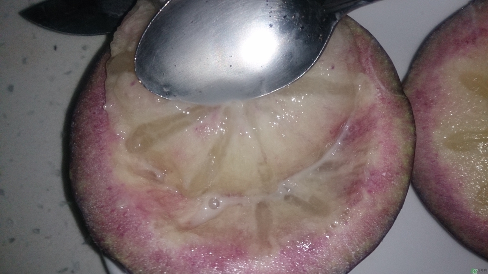 牛奶果怎么吃？牛奶果的功效與作用