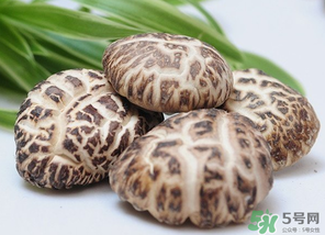 吃香菇有什么好處？吃香菇有什么壞處？