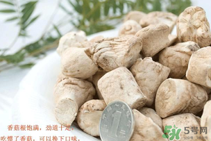 香菇根能吃嗎？香菇的根可以吃嗎？