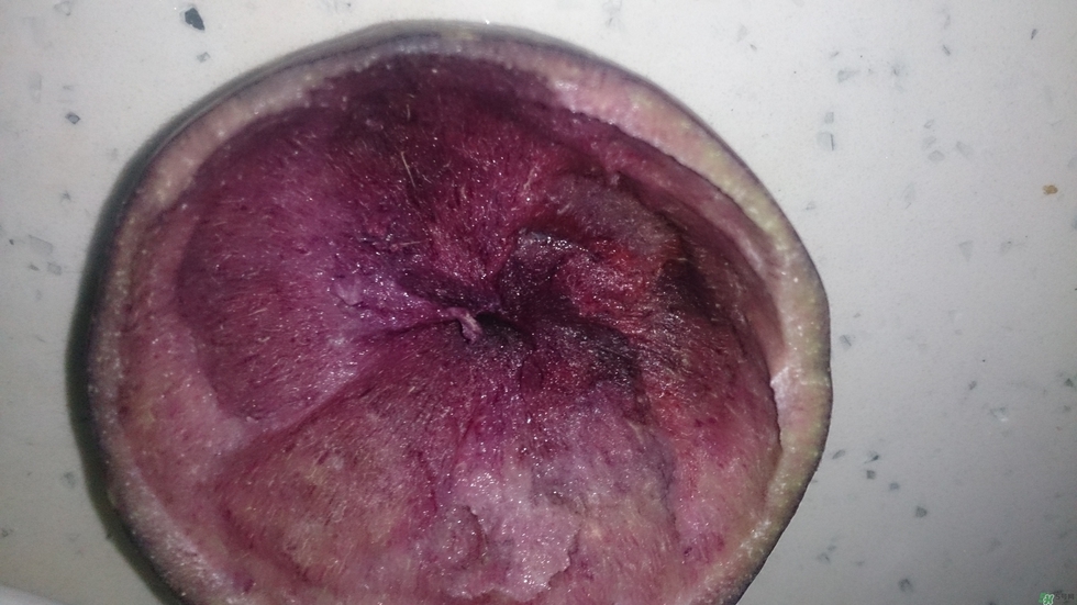 牛奶果怎么吃？牛奶果的功效與作用