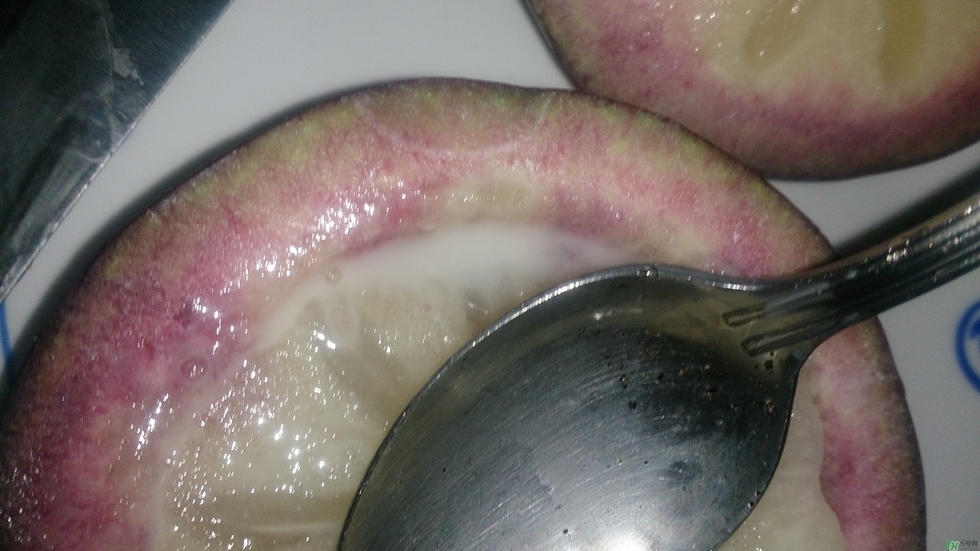牛奶果怎么吃？牛奶果的功效與作用