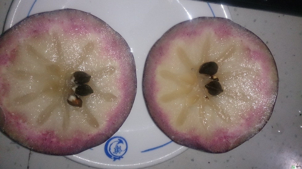 牛奶果怎么吃？牛奶果的功效與作用