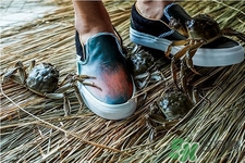 vans與acu合作款鞋子在哪可以買？vans與acu合作款鞋子上市發(fā)售時間