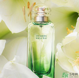 愛馬仕香水怎么看真假？愛馬仕香水真假鑒別圖