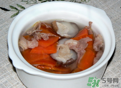 雞肉能和胡蘿卜一起吃嗎？雞肉和蘿卜可以一起吃嗎？