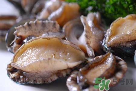 寶寶能吃鮑魚嗎？寶寶多大可以吃鮑魚？