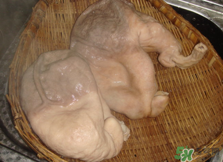 豬大腸怎么清洗？豬大腸怎么去臭味？