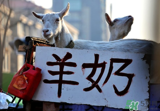 鮮羊奶怎么保存？鮮羊奶放冰箱能放多久？