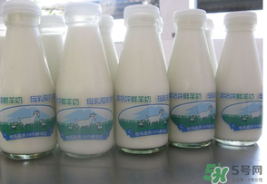 鮮羊奶可以直接喝嗎？鮮羊奶怎么喝最好？
