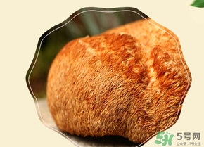 猴頭菇怎么吃？猴頭菇的功效與作用
