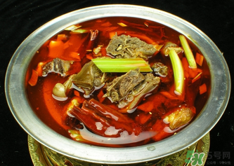 狗肉不能和什么一起吃？狗肉和什么相克？