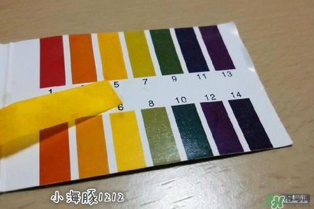 賽貝格哪里買？賽貝格哪里有專柜？