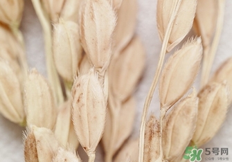 韓律適合什么膚質(zhì)？韓律適合敏感肌膚嗎？
