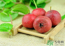 新鮮山楂什么時(shí)候上市？新鮮山楂什么時(shí)候成熟？