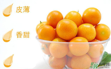 金桔可以帶皮吃嗎？金桔皮能吃嗎？