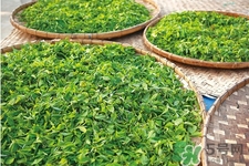 冬天可以喝綠茶嗎？冬天喝綠茶好還是紅茶好？