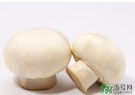 口菇變黑還能吃嗎？口菇的營(yíng)養(yǎng)價(jià)值