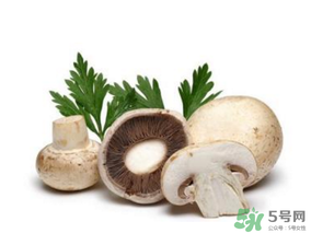 草菇怎么保存？新鮮草菇怎么保存？