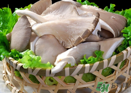 蘑菇可以放冰箱嗎？蘑菇放冰箱長毛了能吃嘛？