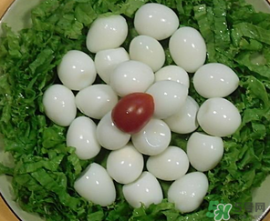 鵪鶉蛋一天吃幾個合適？鵪鶉蛋一天最多吃幾個？