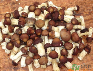草菇可以放冰箱嗎？草菇放冰箱還能吃嗎？