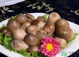 草菇可以放冰箱嗎？草菇放冰箱還能吃嗎？