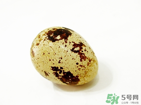 鵪鶉蛋不能和什么一起吃？鵪鶉蛋不能與什么同食？