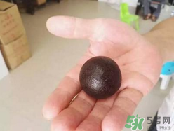 羊?qū)毷鞘裁?？羊?qū)殲槭裁催@么貴？