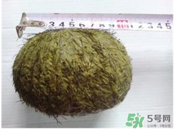 羊?qū)毷鞘裁?？羊?qū)殲槭裁催@么貴？