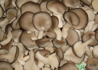 吃平菇有什么好處？平菇怎么做好吃？