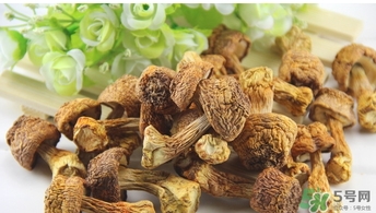 巴西蘑菇怎么吃？巴西蘑菇的作用與功效