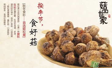 巴西蘑菇怎么吃？巴西蘑菇的作用與功效