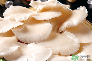 平菇怎么洗？平菇怎么洗才干凈？