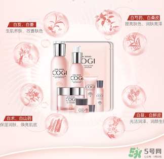 高姿大白水一套多少錢？高姿大白水多少錢一瓶？